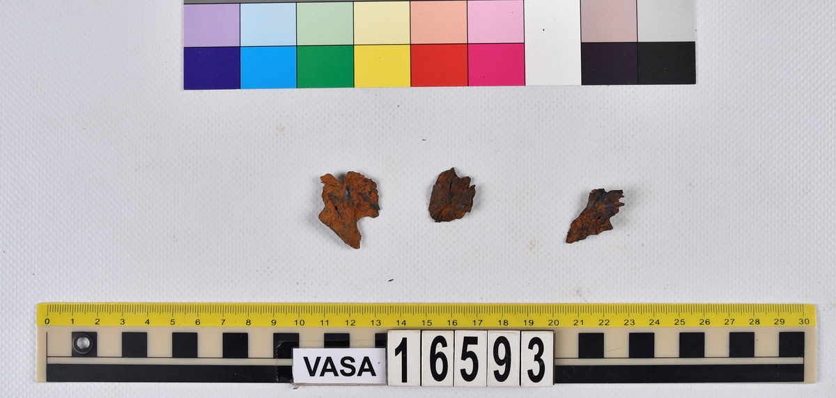 Ben från långa (Molva molva).
274 ben utöver en mängd av oräknade fenstrålar (lepidotrichia) och fenbärare (pterygiophori).
Benen består av 171 ben från olika huvuden och 103 från bål och stjärtar:
73 stjärtkotor (vertebrae caudales),
30 revben (costae),
12 (6+6) cleithra,
8 (5+3) praeopercularia,
7 (4+3) praemaxillaria,
7 (5+2) maxillaria,
7 (5+2) quadrata,
7 (4+3) dentalia,
7 (4+3) supracleithralia ventr.,
6 frontalia,
6 (4+2) ectopterygoidea,
6 (5+1) hyomandibularia,
6 (4+2) articularia,
6 (3+3) keratohyalia,
6 (4+2) scapulae,
5 ectehmoidalia,
5 (2+3) prootica,
5 lacrymalia,
5 (2+3) opercularia,
5 (2+3) interopercularia,
5 (4+1) palatina,
5 epihyalia,
4 (3+1) parietalia,
4 (1+3) pterotica,
4 supraoccipitalia,
4 vomeres,
3 (2+1) sphenotica,
3 exoccipitalia,
3 parasphenoidea,
3 supracleithralia dors.,
3 basipterygia,
2 mesethmoidalia,
1 intercalare,
1 infraorbitale post.,
1 symplecticum,
1 epioticum,
1 epibranchiale,
1 basihyale,
1 coracoideum.