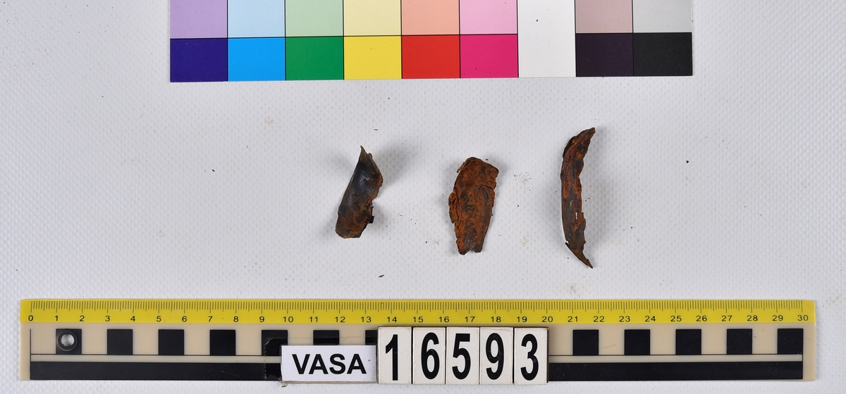 Ben från långa (Molva molva).
274 ben utöver en mängd av oräknade fenstrålar (lepidotrichia) och fenbärare (pterygiophori).
Benen består av 171 ben från olika huvuden och 103 från bål och stjärtar:
73 stjärtkotor (vertebrae caudales),
30 revben (costae),
12 (6+6) cleithra,
8 (5+3) praeopercularia,
7 (4+3) praemaxillaria,
7 (5+2) maxillaria,
7 (5+2) quadrata,
7 (4+3) dentalia,
7 (4+3) supracleithralia ventr.,
6 frontalia,
6 (4+2) ectopterygoidea,
6 (5+1) hyomandibularia,
6 (4+2) articularia,
6 (3+3) keratohyalia,
6 (4+2) scapulae,
5 ectehmoidalia,
5 (2+3) prootica,
5 lacrymalia,
5 (2+3) opercularia,
5 (2+3) interopercularia,
5 (4+1) palatina,
5 epihyalia,
4 (3+1) parietalia,
4 (1+3) pterotica,
4 supraoccipitalia,
4 vomeres,
3 (2+1) sphenotica,
3 exoccipitalia,
3 parasphenoidea,
3 supracleithralia dors.,
3 basipterygia,
2 mesethmoidalia,
1 intercalare,
1 infraorbitale post.,
1 symplecticum,
1 epioticum,
1 epibranchiale,
1 basihyale,
1 coracoideum.