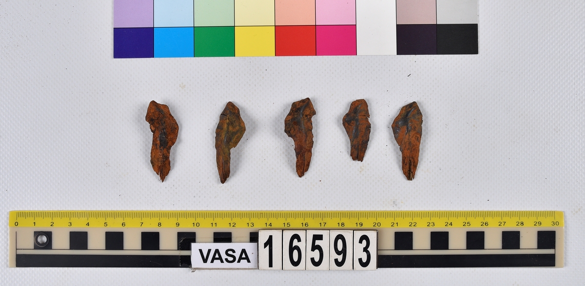 Ben från långa (Molva molva).
274 ben utöver en mängd av oräknade fenstrålar (lepidotrichia) och fenbärare (pterygiophori).
Benen består av 171 ben från olika huvuden och 103 från bål och stjärtar:
73 stjärtkotor (vertebrae caudales),
30 revben (costae),
12 (6+6) cleithra,
8 (5+3) praeopercularia,
7 (4+3) praemaxillaria,
7 (5+2) maxillaria,
7 (5+2) quadrata,
7 (4+3) dentalia,
7 (4+3) supracleithralia ventr.,
6 frontalia,
6 (4+2) ectopterygoidea,
6 (5+1) hyomandibularia,
6 (4+2) articularia,
6 (3+3) keratohyalia,
6 (4+2) scapulae,
5 ectehmoidalia,
5 (2+3) prootica,
5 lacrymalia,
5 (2+3) opercularia,
5 (2+3) interopercularia,
5 (4+1) palatina,
5 epihyalia,
4 (3+1) parietalia,
4 (1+3) pterotica,
4 supraoccipitalia,
4 vomeres,
3 (2+1) sphenotica,
3 exoccipitalia,
3 parasphenoidea,
3 supracleithralia dors.,
3 basipterygia,
2 mesethmoidalia,
1 intercalare,
1 infraorbitale post.,
1 symplecticum,
1 epioticum,
1 epibranchiale,
1 basihyale,
1 coracoideum.