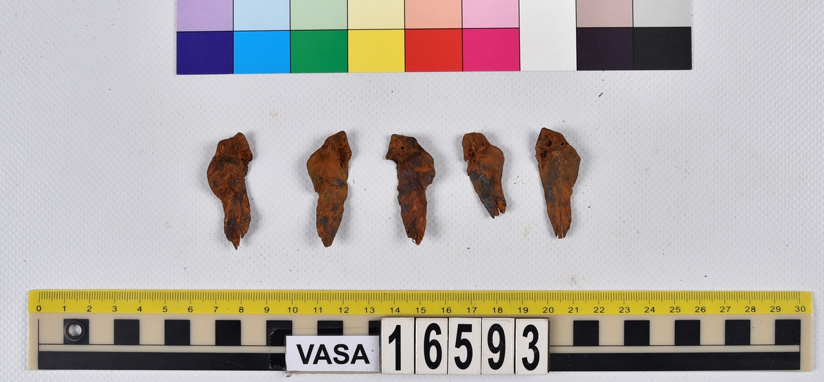 Ben från långa (Molva molva).
274 ben utöver en mängd av oräknade fenstrålar (lepidotrichia) och fenbärare (pterygiophori).
Benen består av 171 ben från olika huvuden och 103 från bål och stjärtar:
73 stjärtkotor (vertebrae caudales),
30 revben (costae),
12 (6+6) cleithra,
8 (5+3) praeopercularia,
7 (4+3) praemaxillaria,
7 (5+2) maxillaria,
7 (5+2) quadrata,
7 (4+3) dentalia,
7 (4+3) supracleithralia ventr.,
6 frontalia,
6 (4+2) ectopterygoidea,
6 (5+1) hyomandibularia,
6 (4+2) articularia,
6 (3+3) keratohyalia,
6 (4+2) scapulae,
5 ectehmoidalia,
5 (2+3) prootica,
5 lacrymalia,
5 (2+3) opercularia,
5 (2+3) interopercularia,
5 (4+1) palatina,
5 epihyalia,
4 (3+1) parietalia,
4 (1+3) pterotica,
4 supraoccipitalia,
4 vomeres,
3 (2+1) sphenotica,
3 exoccipitalia,
3 parasphenoidea,
3 supracleithralia dors.,
3 basipterygia,
2 mesethmoidalia,
1 intercalare,
1 infraorbitale post.,
1 symplecticum,
1 epioticum,
1 epibranchiale,
1 basihyale,
1 coracoideum.