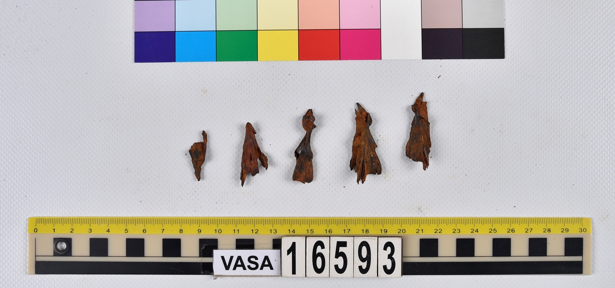 Ben från långa (Molva molva).
274 ben utöver en mängd av oräknade fenstrålar (lepidotrichia) och fenbärare (pterygiophori).
Benen består av 171 ben från olika huvuden och 103 från bål och stjärtar:
73 stjärtkotor (vertebrae caudales),
30 revben (costae),
12 (6+6) cleithra,
8 (5+3) praeopercularia,
7 (4+3) praemaxillaria,
7 (5+2) maxillaria,
7 (5+2) quadrata,
7 (4+3) dentalia,
7 (4+3) supracleithralia ventr.,
6 frontalia,
6 (4+2) ectopterygoidea,
6 (5+1) hyomandibularia,
6 (4+2) articularia,
6 (3+3) keratohyalia,
6 (4+2) scapulae,
5 ectehmoidalia,
5 (2+3) prootica,
5 lacrymalia,
5 (2+3) opercularia,
5 (2+3) interopercularia,
5 (4+1) palatina,
5 epihyalia,
4 (3+1) parietalia,
4 (1+3) pterotica,
4 supraoccipitalia,
4 vomeres,
3 (2+1) sphenotica,
3 exoccipitalia,
3 parasphenoidea,
3 supracleithralia dors.,
3 basipterygia,
2 mesethmoidalia,
1 intercalare,
1 infraorbitale post.,
1 symplecticum,
1 epioticum,
1 epibranchiale,
1 basihyale,
1 coracoideum.