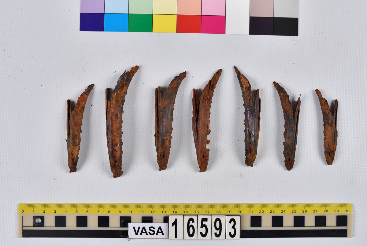 Ben från långa (Molva molva).
274 ben utöver en mängd av oräknade fenstrålar (lepidotrichia) och fenbärare (pterygiophori).
Benen består av 171 ben från olika huvuden och 103 från bål och stjärtar:
73 stjärtkotor (vertebrae caudales),
30 revben (costae),
12 (6+6) cleithra,
8 (5+3) praeopercularia,
7 (4+3) praemaxillaria,
7 (5+2) maxillaria,
7 (5+2) quadrata,
7 (4+3) dentalia,
7 (4+3) supracleithralia ventr.,
6 frontalia,
6 (4+2) ectopterygoidea,
6 (5+1) hyomandibularia,
6 (4+2) articularia,
6 (3+3) keratohyalia,
6 (4+2) scapulae,
5 ectehmoidalia,
5 (2+3) prootica,
5 lacrymalia,
5 (2+3) opercularia,
5 (2+3) interopercularia,
5 (4+1) palatina,
5 epihyalia,
4 (3+1) parietalia,
4 (1+3) pterotica,
4 supraoccipitalia,
4 vomeres,
3 (2+1) sphenotica,
3 exoccipitalia,
3 parasphenoidea,
3 supracleithralia dors.,
3 basipterygia,
2 mesethmoidalia,
1 intercalare,
1 infraorbitale post.,
1 symplecticum,
1 epioticum,
1 epibranchiale,
1 basihyale,
1 coracoideum.