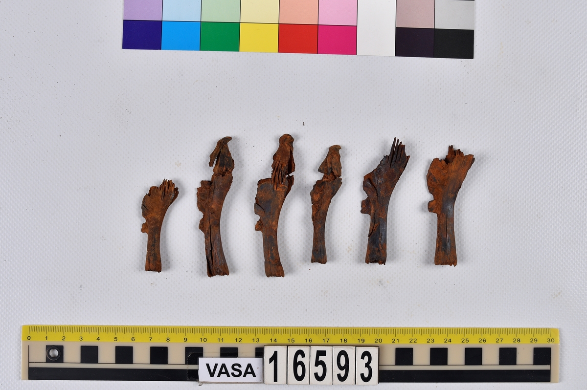 Ben från långa (Molva molva).
274 ben utöver en mängd av oräknade fenstrålar (lepidotrichia) och fenbärare (pterygiophori).
Benen består av 171 ben från olika huvuden och 103 från bål och stjärtar:
73 stjärtkotor (vertebrae caudales),
30 revben (costae),
12 (6+6) cleithra,
8 (5+3) praeopercularia,
7 (4+3) praemaxillaria,
7 (5+2) maxillaria,
7 (5+2) quadrata,
7 (4+3) dentalia,
7 (4+3) supracleithralia ventr.,
6 frontalia,
6 (4+2) ectopterygoidea,
6 (5+1) hyomandibularia,
6 (4+2) articularia,
6 (3+3) keratohyalia,
6 (4+2) scapulae,
5 ectehmoidalia,
5 (2+3) prootica,
5 lacrymalia,
5 (2+3) opercularia,
5 (2+3) interopercularia,
5 (4+1) palatina,
5 epihyalia,
4 (3+1) parietalia,
4 (1+3) pterotica,
4 supraoccipitalia,
4 vomeres,
3 (2+1) sphenotica,
3 exoccipitalia,
3 parasphenoidea,
3 supracleithralia dors.,
3 basipterygia,
2 mesethmoidalia,
1 intercalare,
1 infraorbitale post.,
1 symplecticum,
1 epioticum,
1 epibranchiale,
1 basihyale,
1 coracoideum.