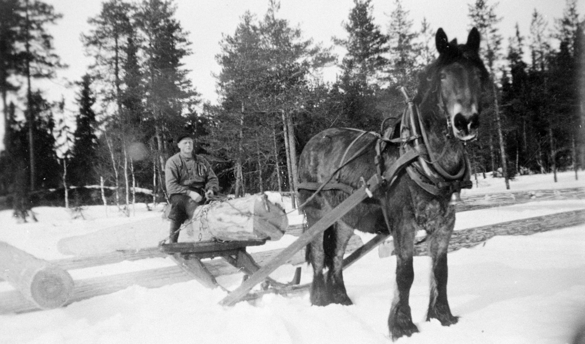 Romedal almenning, Stange. Skogbruk, tømmerkjøring, hestetransport, ukjent skogsarbeider.
