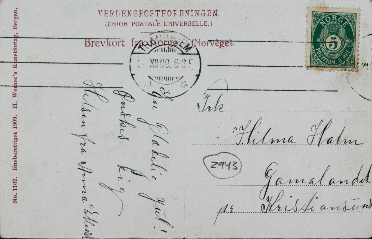Tog og passasjerer på Svorkmo stasjon. Antagelig fra åpningsdagen 10.07.1908.
