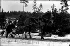 Ernst och Ester Hagman i släde efter häst.
Fotograf E Sörman.