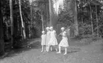 Ingrid, Karin och Eva Brundin samt en faster till dom som heter Kerstin på promenad i lingonskogen i Lingbo i södra Hälsingland.