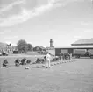 Fallskärmsjägarskolan i Karlsborg 1950-tal.