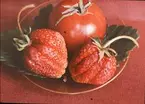 Lumières-autokrom. Stilleben, två jätte jordgubbar och en tomat.