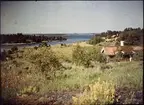 Lumières-autokrom. Utö, Stockholms skärgård. Fotograferat i juli 1910.