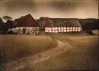 Lumières-autokrom. Sommarnöje vid Arildsläge. Hus med halmtak. Fotograferad aug. 1912 med f/12, 18 sek. exponering.