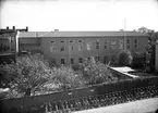 Textilgården, tillhörande Gefle Ångväfveri AB.
Ångväveri markarbete. 1947. Reportage för Arbetarbladet.