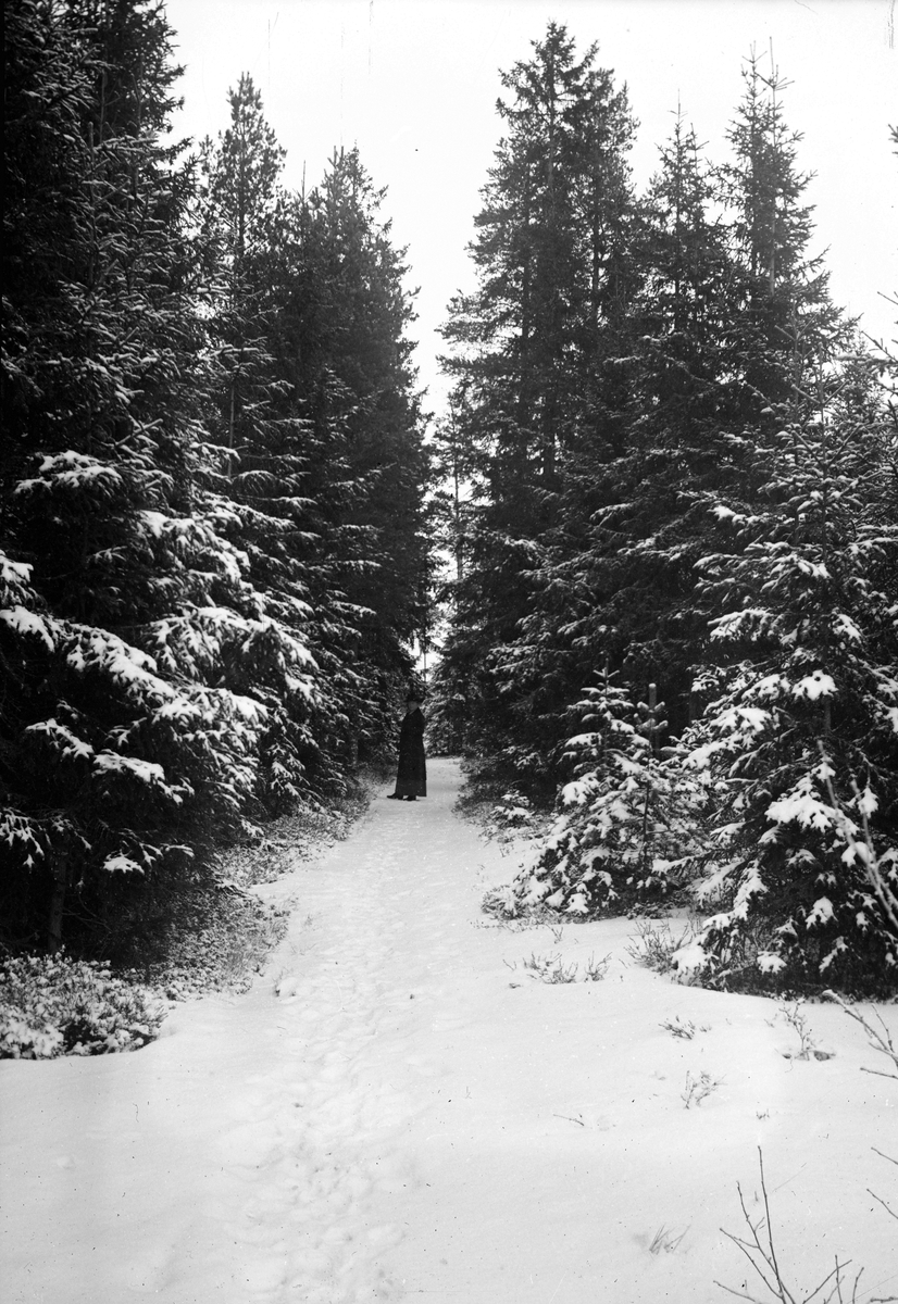 Vinterväg i skogen. Tidsomfånget är 1900 - 1940