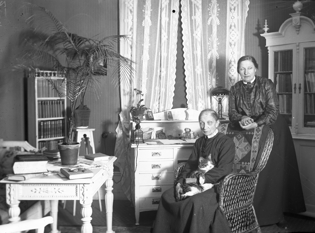 Två kvinnor med katt. Tidsomfånget är 1900 - 1940