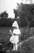 I trädgården. Tidsomfånget är 1900 - 1940