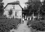 Ute i trädgården. Tidsomfånget är 1900 - 1940