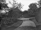 Trädgården. Tidsomfånget är 1900 - 1940