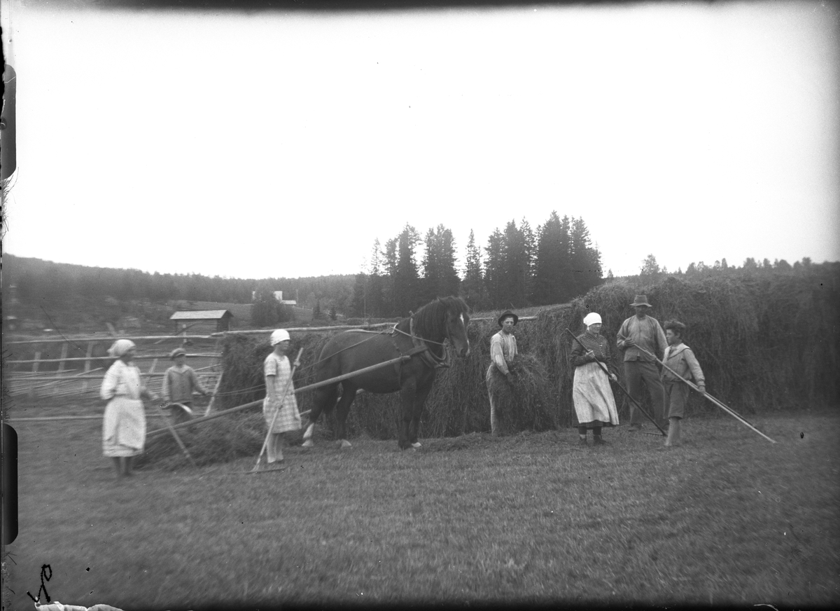 Slåtter.