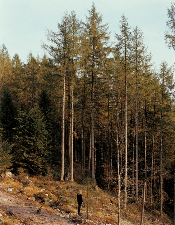 I et norsk landskap nr. 13 [Fotografi]