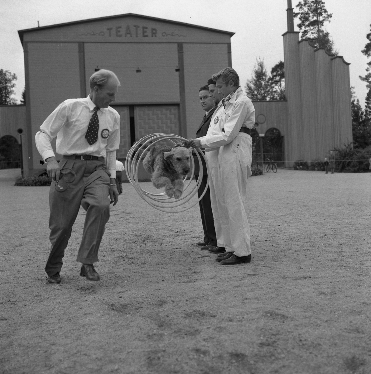 Hundutställning i Folkparken.
27 september 1955.