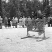 Hundutställning i Folkparken.
27 september 1955.