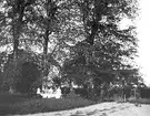 Barnen och hästarna. Den 27 juli 1892