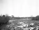 Kycklinge vid Gavleån. Den 28 april 1906.