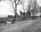 Åby, Erik Stackelberg, född 1901 och hunden Flink. Den 28 april 1906.