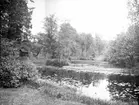Vy över parken. År 1906.