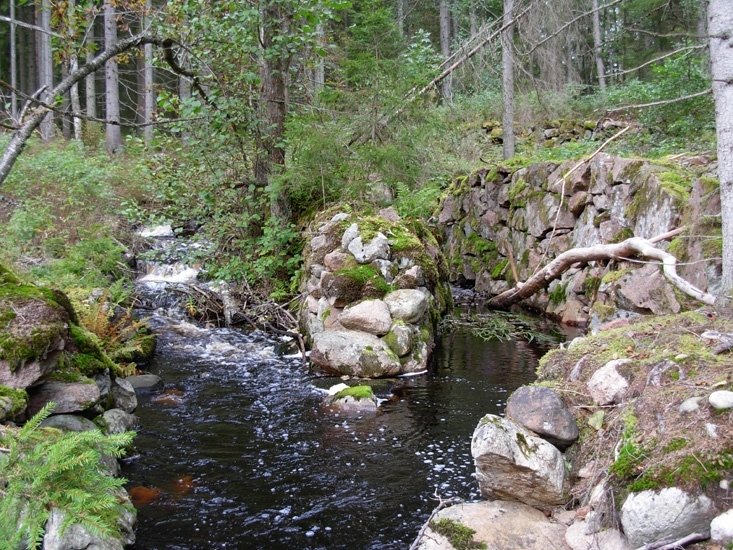 Hjulränna, Dammvall
Foto av hjulränna samt dammvall i bakgrunden.
Raä 265 b, 2010-09-28