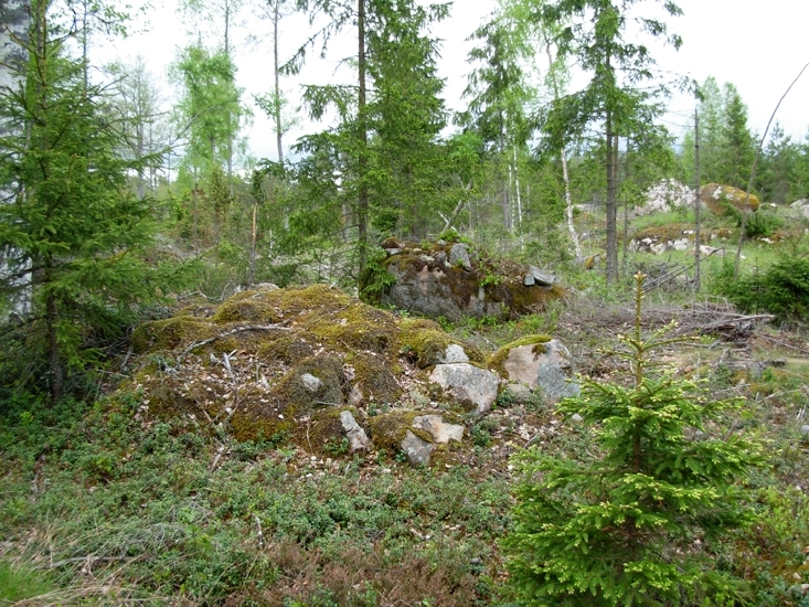 Röjningsröse
Foto av röjningsrösen i ett röjningsrösområde.
Raä 514 a 2010-05-25, reg i FMIS.