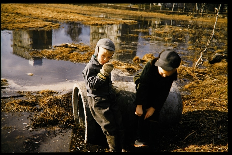 Spetsamossen vid Lassaskog, Växjö 1956.