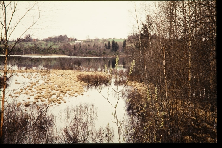 Sjö och en gård i bakgrunden, mellan Växjö och Ör. 1958.