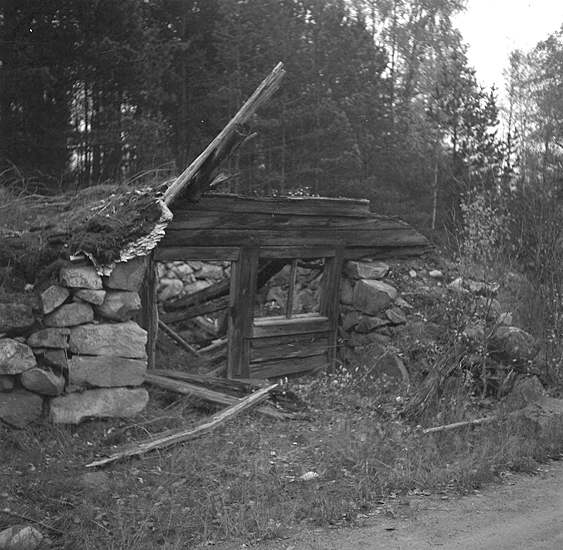 En halvt raserad backstuga.
Signhildastugan före restaurering.