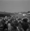 Internationellt på Värendsvallen, 1943. 
Kulstötning. En kulstötare från Ungern.