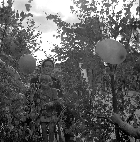 Studenterna andra dagen, 1950.
En glad student bland björklöv och ballonger. 

Angående avgångsklasserna 1950 - se "Lärare och Studenter vid Växjö 
Högre Allmänna Läroverk 1850-1950" (1951), s. 193-196, 289.