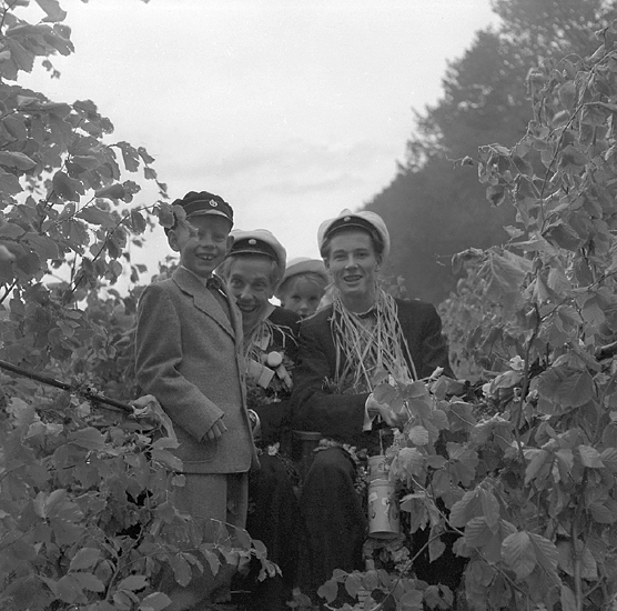 Studenterna tredje dagen, 1950.
Två glada studenter m.fl. bland björklöv, någonstans i Växjö. 

Angående avgångsklasserna 1950 - se "Lärare och Studenter vid Växjö 
Högre Allmänna Läroverk 1850-1950" (1951), s. 193-196, 289.