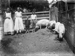 TRÄSLOTTEN SOM BLEV VÄRLDSARV - ett pedagogiskt lektionsmaterial för att upptäcka hälsingegårdarna