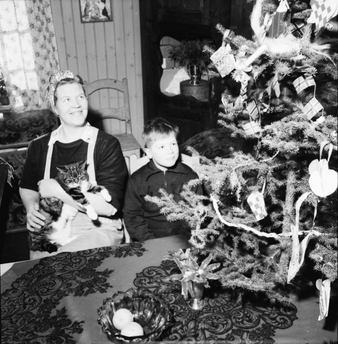 Vardens arkiv. "Besøk på fjellgård mellom Rauland og Rjukan" 07.01.1954