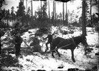 Gottfrid Granlund, Bergkvist med fru och hästen Prima i skogen.