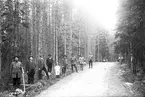 Stämpling av skog på Masugnsheden i Åmot. Tredje från vänster är John Svensson, barnet i vita kläder är sonen Göran.