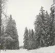 Blackstads kyrka. Foto från öster (från Hallingebergsvägen), taget före avverkningen i mars 1969.
