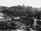 Bergianska trädgården i Stockholm.