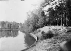 Gefleån vid Boulognerskogen i stadsträdgården.

Gustav Arvid Asplund, verkmästare på Gefle Porslinsfabrik på
1910-talet. Förmodligen var han även anställd hos föregångaren Gefle Kakelfabrik.
Bilderna har han själv identifierat, bildtexterna är också hans egna.