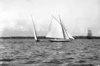 Gävle Segelsällskap. År 1925. Norrlandsregattan i Sundsvallsfjärden, bl.a. runt Alnön.