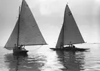 Gävle Segelsällskap. År 1925. Norrlandsregattan i Sundsvallsfjärden, bl.a. runt Alnön.