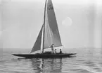Gävle Segelsällskap. År 1925. Norrlandsregattan i Sundsvallsfjärden, bl.a. runt Alnön.