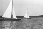 Gävle Segelsällskap. År 1925. Norrlandsregattan i Sundsvallsfjärden, bl.a. runt Alnön.