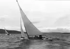 Gävle Segelsällskap. År 1925. Norrlandsregattan i Sundsvallsfjärden, bl.a. runt Alnön.