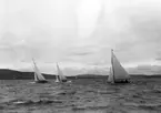 Gävle Segelsällskap. År 1925. Norrlandsregattan i Sundsvallsfjärden, bl.a. runt Alnön.